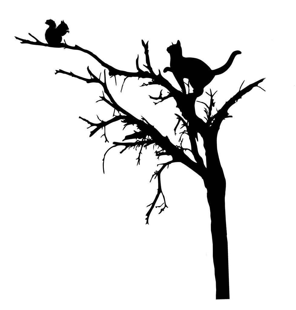 The Cat and the Squirrel